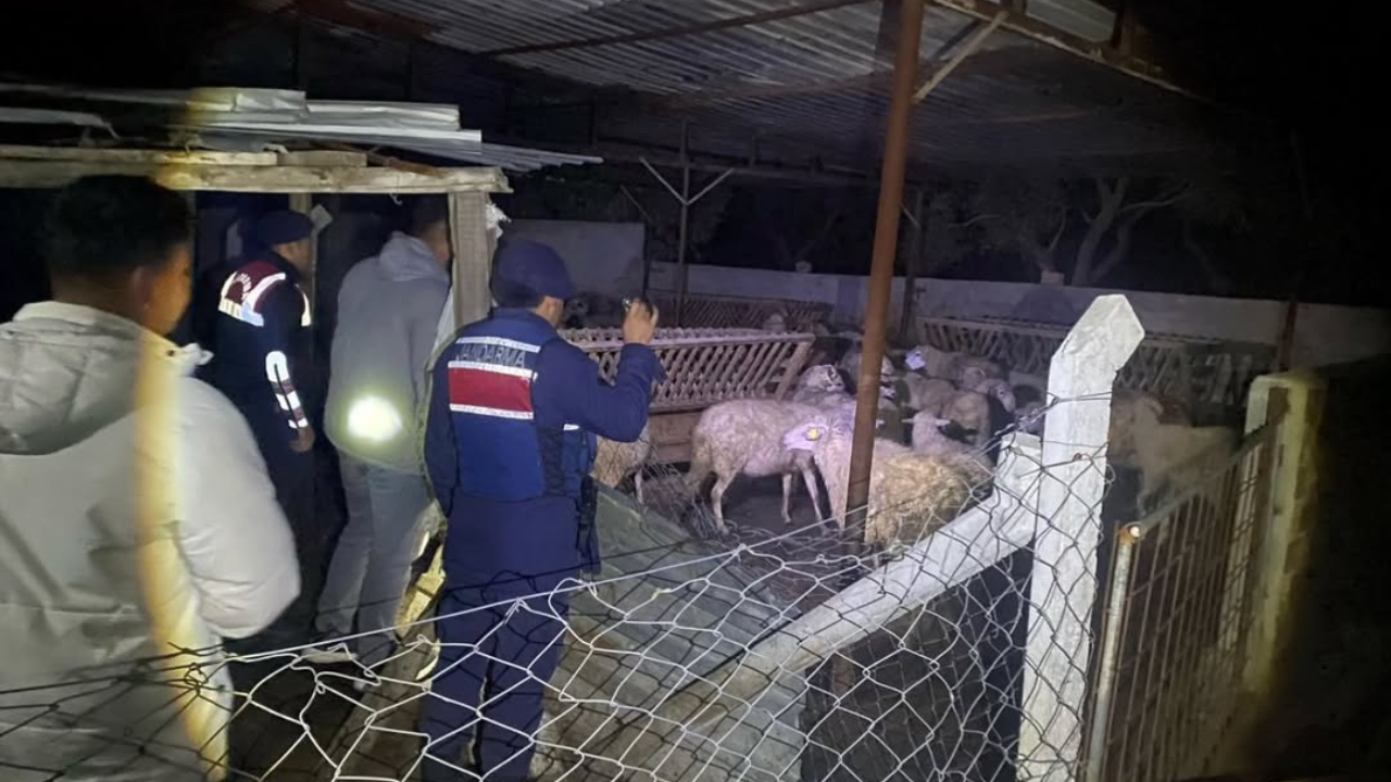 Germencik İlçesi Balatçık Mahallesinde ikamet eden (A.A) isimli çiftçinin 80