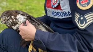 Aydın İl Jandarma Komutanlığı Çevre, Doğa ve Hayvanları Koruma Timi,
