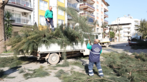 Efeler Belediyesi Park ve Bahçeler Müdürlüğü’ne bağlı ekipler, budama mevsiminin