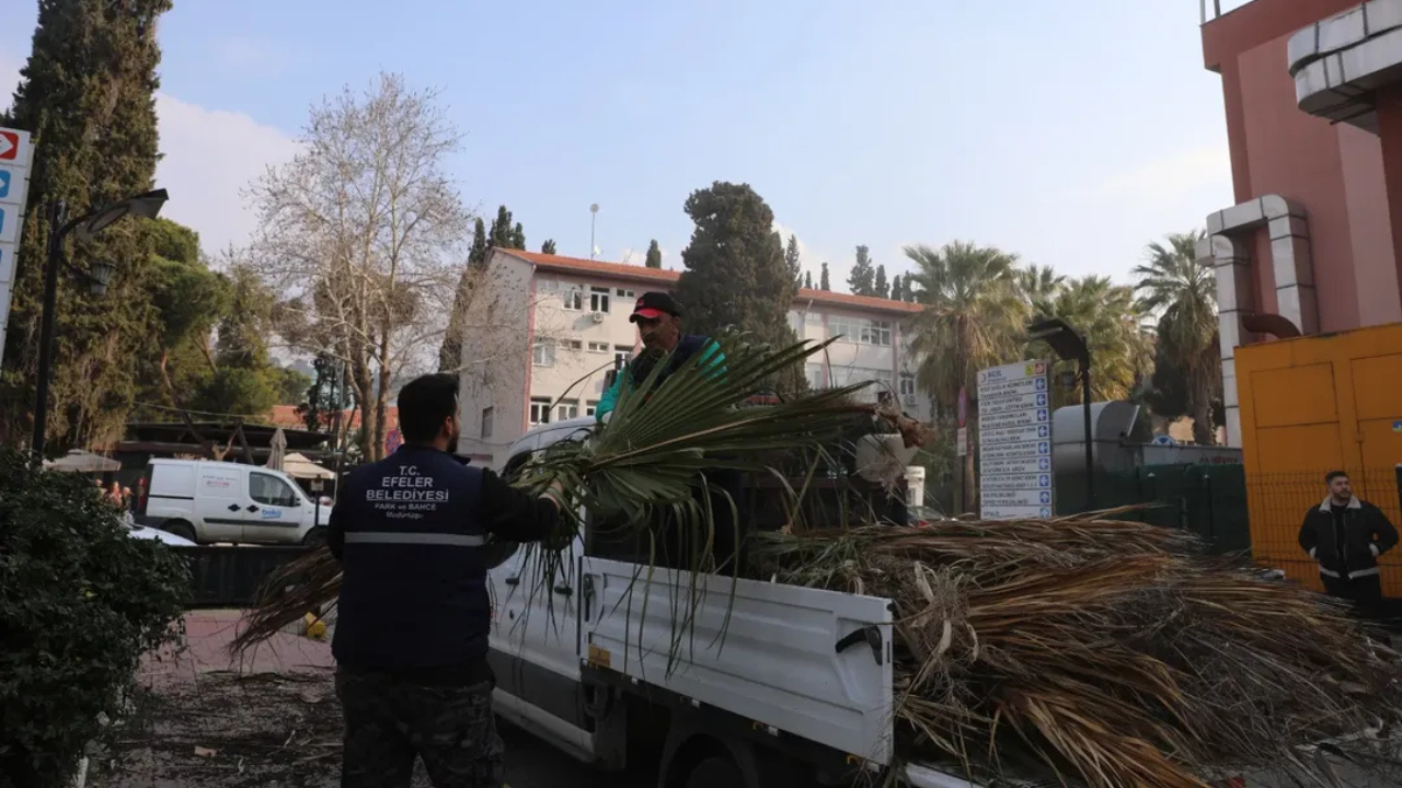 Efeler Belediyesi, şehirdeki yeşil alanların korunması ve estetik açıdan iyileştirilmesi