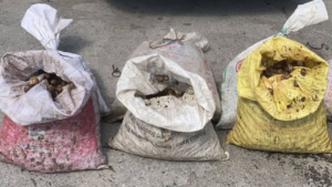 Aydın-İzmir Otoyolu üzerinde yapılan denetimlerde, Germencik Gişeleri mevkiinde durdurulan bir