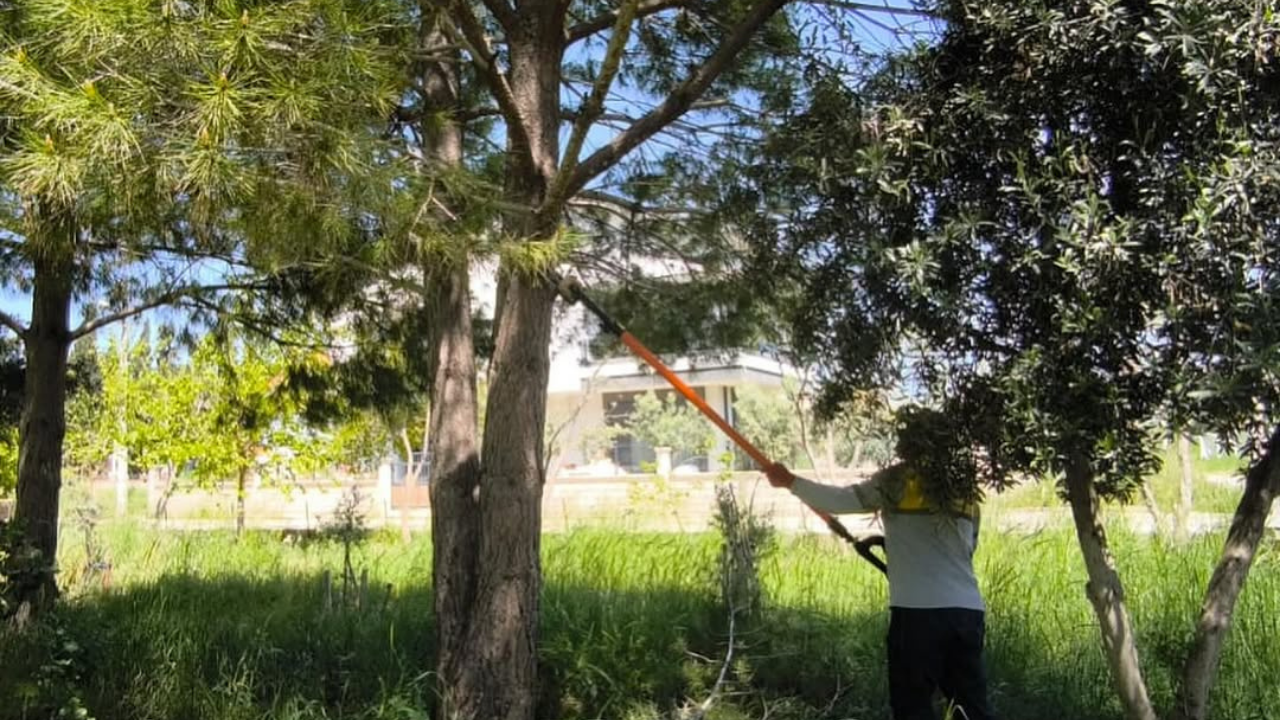 Didim Belediyesi Park ve Bahçeler Müdürlüğü ekipleri, ilçe genelindeki yeşil