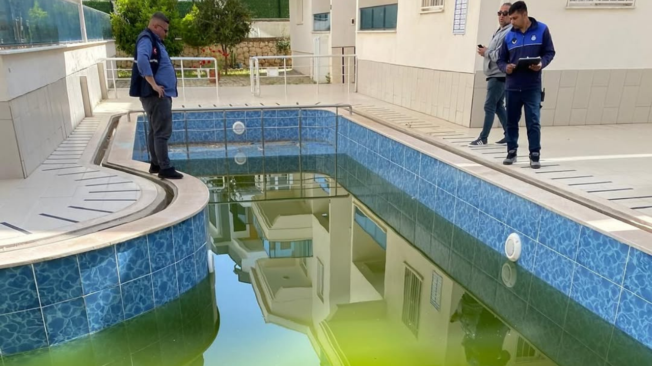 Didim Belediyesi, yaz aylarının yaklaşmasıyla birlikte çevre sağlığını tehdit eden