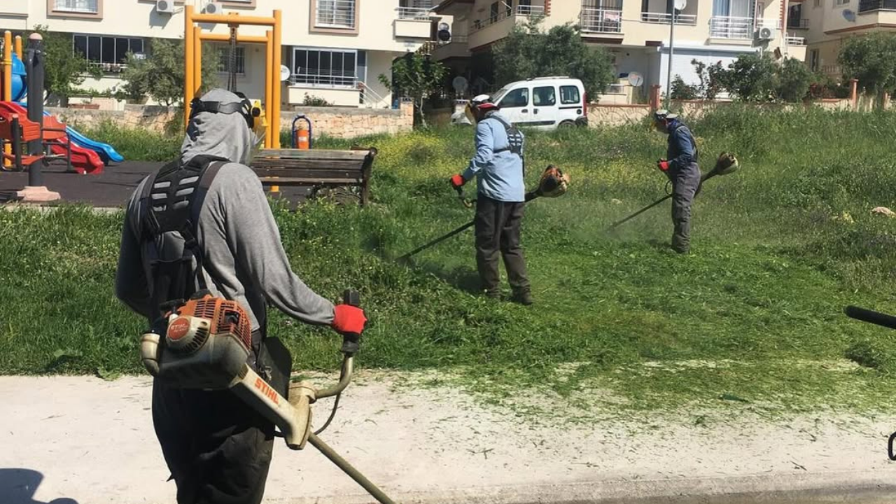 Didim Belediyesi, kent genelindeki park ve yeşil alanlarda bakım çalışmalarını
