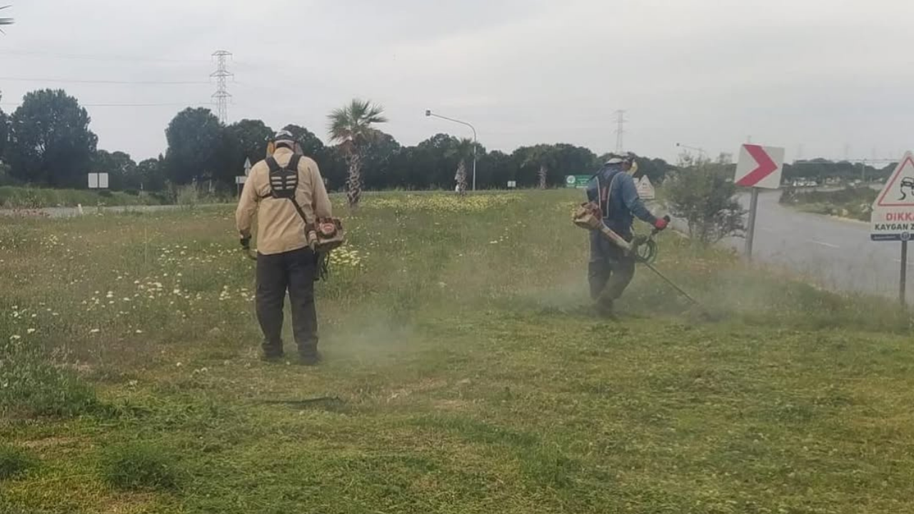 Didim Belediyesi, yaz sezonuna hazırlık kapsamında Akbük Mahallesi’nde ot biçme