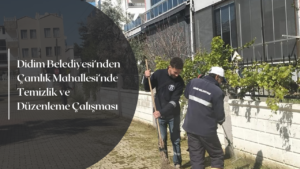 Didim Belediyesi Park ve Bahçeler Müdürlüğü ekipleri, Çamlık Mahallesi’nde çevre