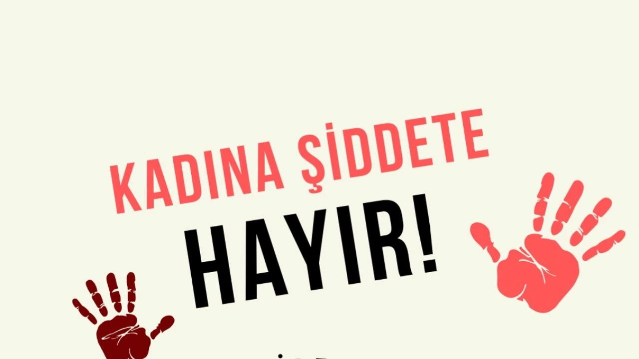Kadına Karşı Şiddet ve Ayrımcılığın Önlenmesine Yönelik Meclis Araştırma Komisyonu,