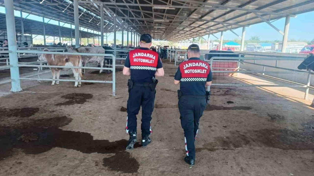 Aydın’ın Çine ilçesinde, yaklaşan Kurban Bayramı öncesinde hayvan pazarlarında artan