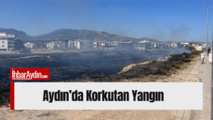 Aydın’ın Efeler ilçesine bağlı Osman Yozgatlı Mahallesi’nde boş bir arazide