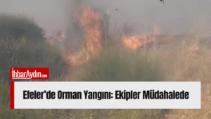 Aydın’ın Efeler ilçesine bağlı Horozköy Mahallesi yakınlarındaki ormanlık alanda henüz