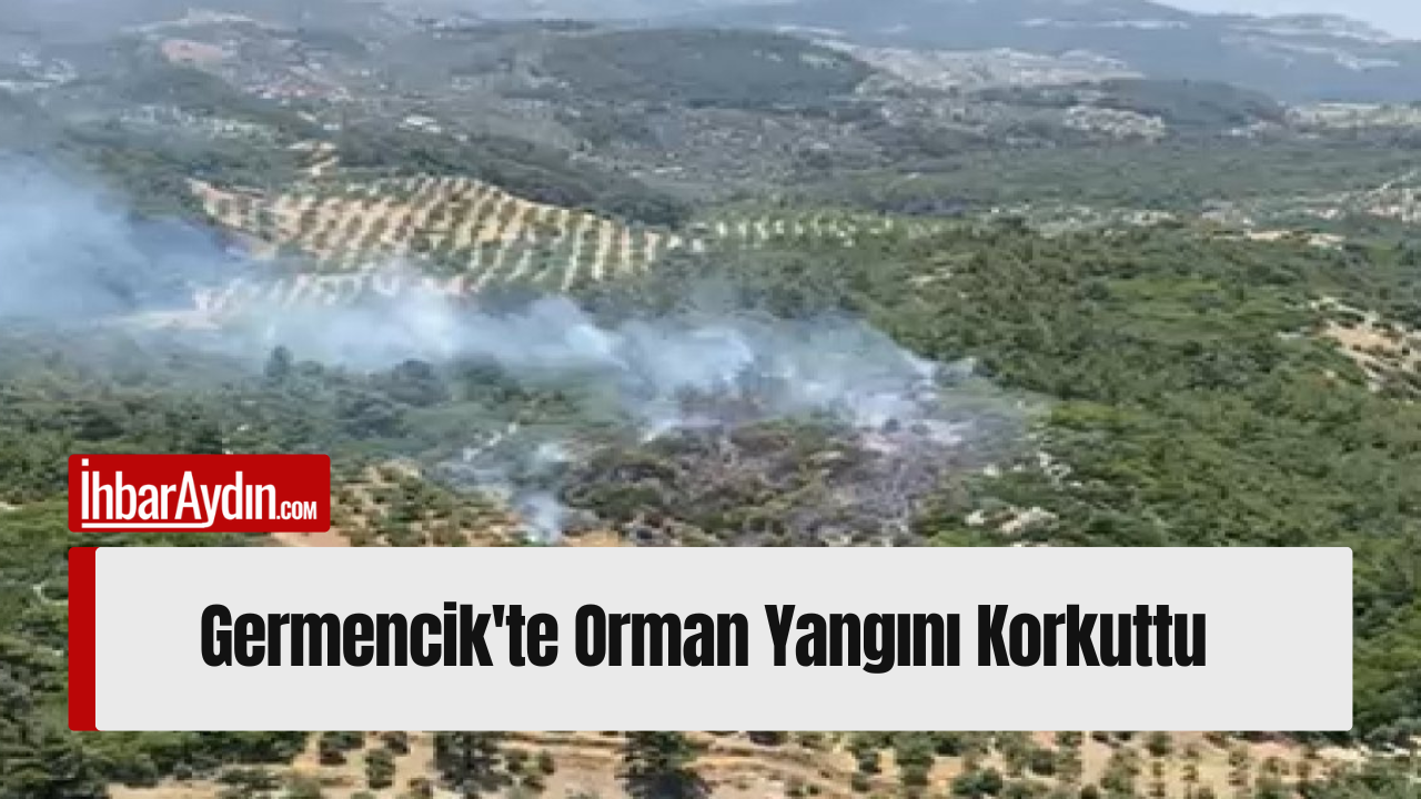 Aydın’ın Germencik ilçesine bağlı Dampınar Mahallesi yakınlarındaki ormanlık alanda çıkan
