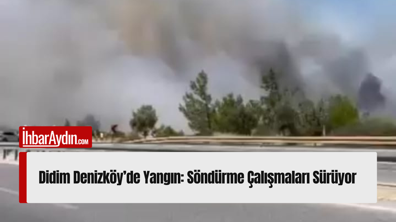 Aydın’ın Didim ilçesine bağlı Altınkum yolu üzerindeki Denizköy Mahallesi yakınlarında