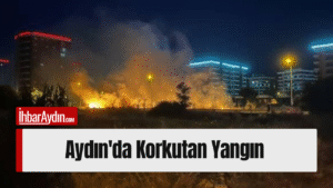 Aydın’ın Efeler ilçesine bağlı Adnan Menderes Mahallesi’nde otluk alanda çıkan