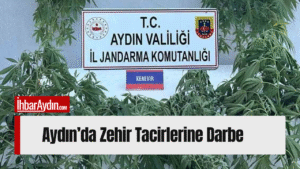 Aydın genelinde jandarma ekipleri tarafından gerçekleştirilen kapsamlı uyuşturucu operasyonunda 16