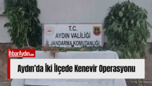 Aydın’ın Çine ve Efeler ilçelerinde jandarma ekipleri tarafından gerçekleştirilen uyuşturucu