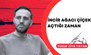 Öyle şey olur mu demeyin, ‘İncir Ağacı’ da çiçek açar.