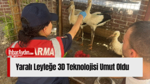 Aydın’ın Nazilli ilçesinde vatandaşlar tarafından yaralı halde bulunan bir leylek,