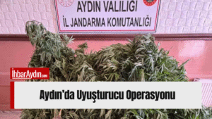 Aydın İl Jandarma Komutanlığı Narkotik Şube Müdürlüğü koordinesinde, il genelinde