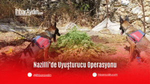 Aydın’ın Nazilli ilçesinde düzenlenen operasyonda, evinde kenevir yetiştirdiği tespit edilen