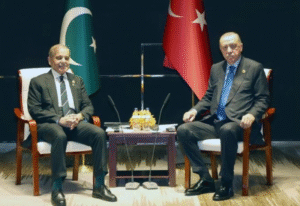 Cumhurbaşkanı Recep Tayyip Erdoğan, Şanghay İşbirliği Teşkilatı 25. Devlet Başkanları
