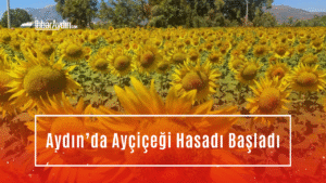 Aydın’da Devlet Su İşleri 21. Bölge Müdürlüğü’nün aldığı su kısıtlaması