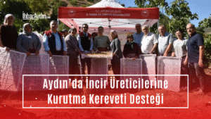 Aydın’da incir üretiminde kaliteyi artırmak ve aflatoksin ile okratoksin riskini