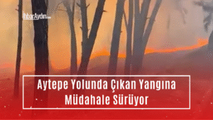 Aydın’da Aytepe yolu üzerinde henüz belirlenemeyen bir nedenle yangın çıktı.