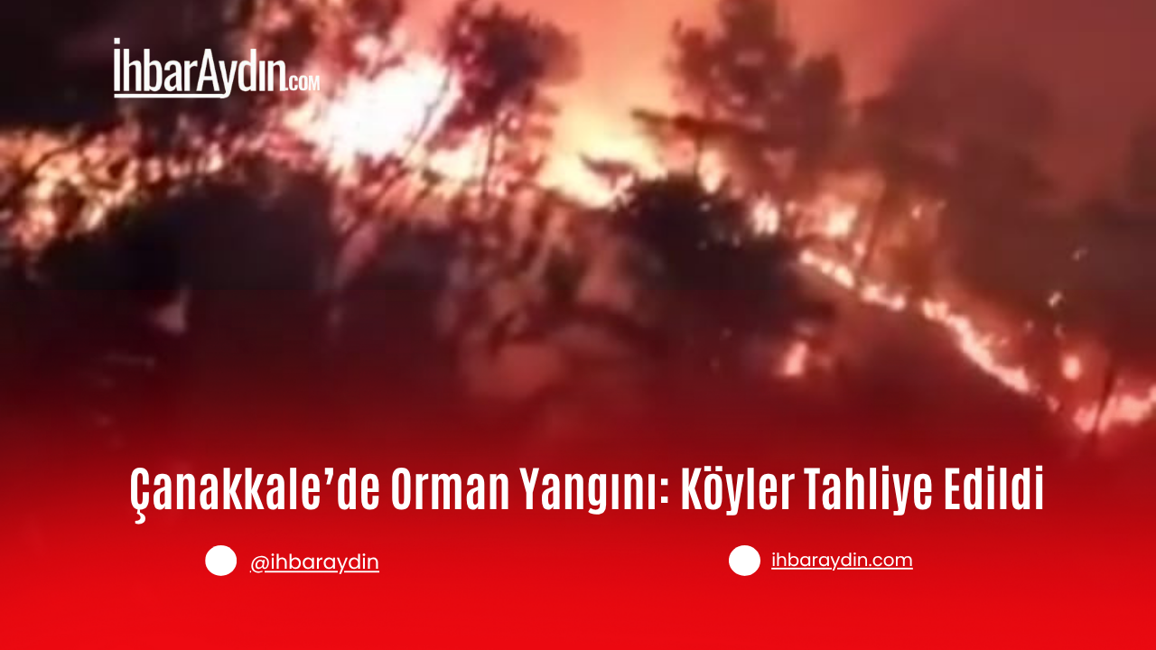 Çanakkale’nin Sarıcaeli köyü yakınlarında başlayan orman yangını, rüzgârın etkisiyle kısa