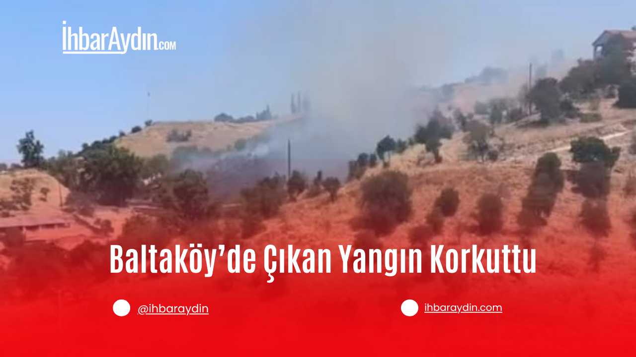 Aydın’ın Baltaköy Mahallesi’nde bugün öğle saatlerinde yangın çıktı. Henüz belirlenemeyen