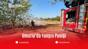 Aydın’ın Efeler ilçesi Umurlu Mahallesi Hafız Ahmet Caddesi’nde bulunan bir