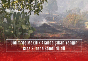 Aydın’ın Didim ilçesinde makilik ve zeytinlik alanda çıkan yangın kısa