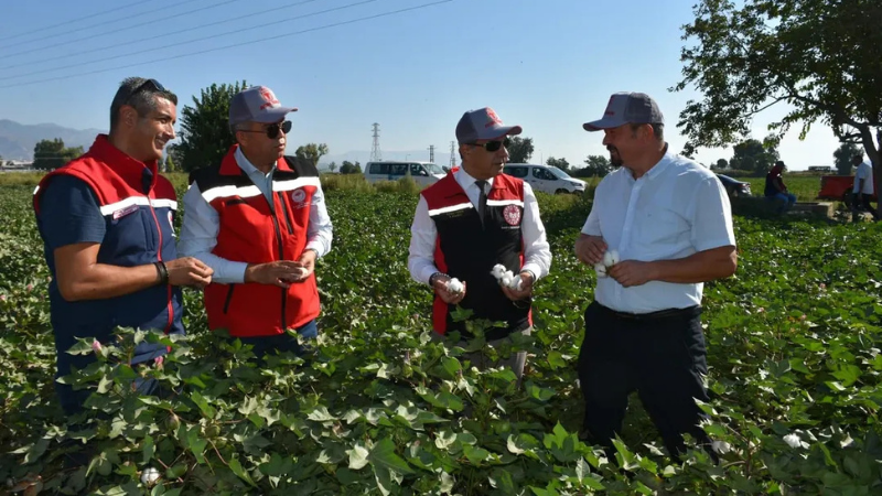 Aydın İl Tarım ve Orman Müdürü Ayhan Temiz, TARİŞ Pamuk