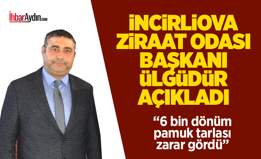 AYDIN’ın İncirliova ilçesinde Sınırteke Mahallesi’nde etkili olan dolu yağışı nedeniyle