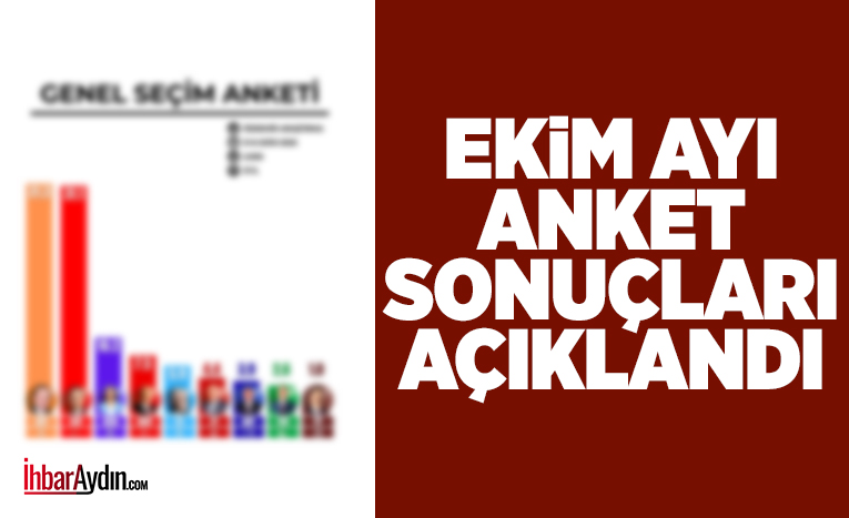 Özdemir Araştırma’nın 9-14 Ekim 2025 tarihleri arasında 31 ilde 2