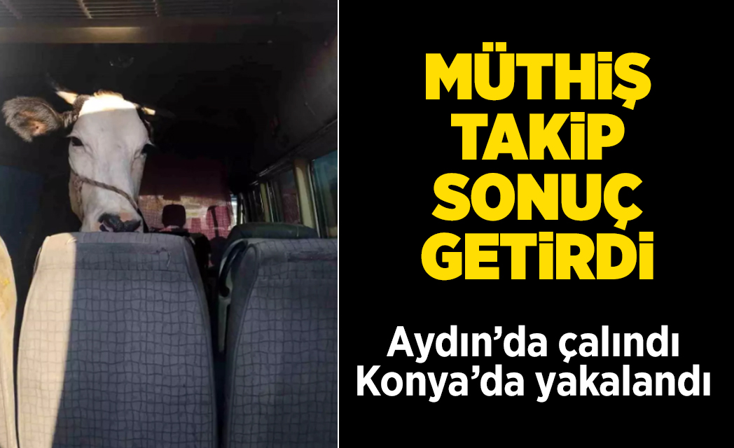 Didim’de iki hayvan çalarak ortadan kaybolan hırsızlar, Didim emniyetinin yaptığı