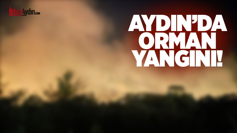 Söke’de Ağaçlı Mahallesi’nde gece saatlerinde çıkan orman yangını, bölgede kısa