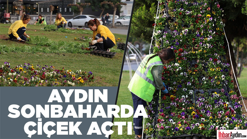 Aydın Büyükşehir Belediyesi, kendi fidanlıklarında yetiştirdiği 350 bin mevsimlik çiçekle
