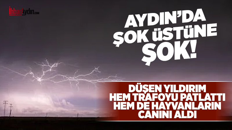 Çine’nin Topçam Mahallesinde sabah saatlerinde düşen yıldırım, hem trafonun patlamasına