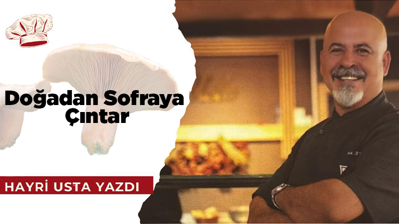 Sevgili&nbsp;okurlarım&nbsp;Erodot’un&nbsp;dediği gibi ‘’ Yeryüzündeki cennet ilimiz Aydın’’ dan selamlar. Herkesi