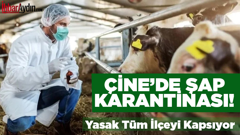 Aydın’ın Çine ilçesinde şap hastalığının artış göstermesi nedeniyle ilçeye bağlı