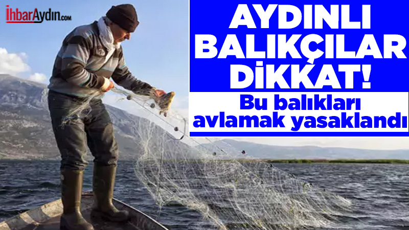 T.C. Aydın Valiliği Tarım ve Orman İl Müdürlüğü, balıkçıları ve