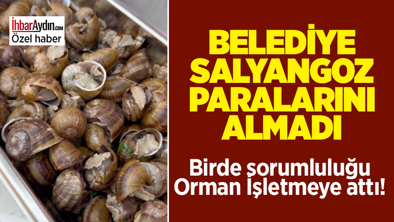 Kuşadası Belediyesi’nin Sokak Festivali kapsamında salyangoz gibi ürünleri satarak toplanan