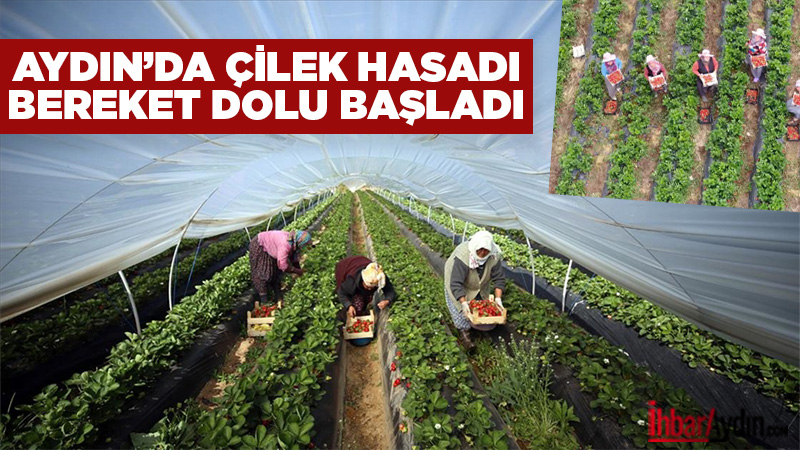 Aydın İl Tarım ve Orman Müdürü Ayhan Temiz, 2020 yılında