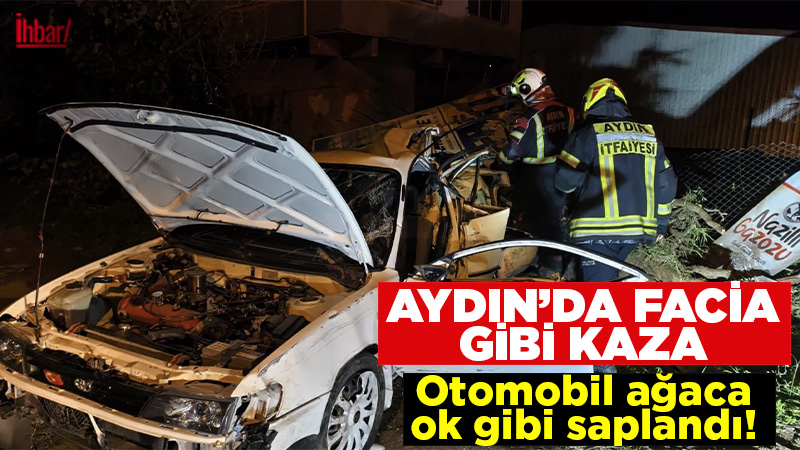 Aydın’ın Nazilli ilçesinde kontrolden çıkan otomobilin yol kenarındaki ağaca çarpması