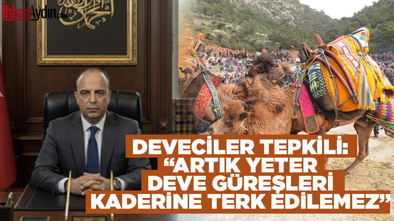 Sap hastalığı nedeniyle Ege ve Marmara’da deve güreşleri yasaklanırken, Devecilik Kültürü