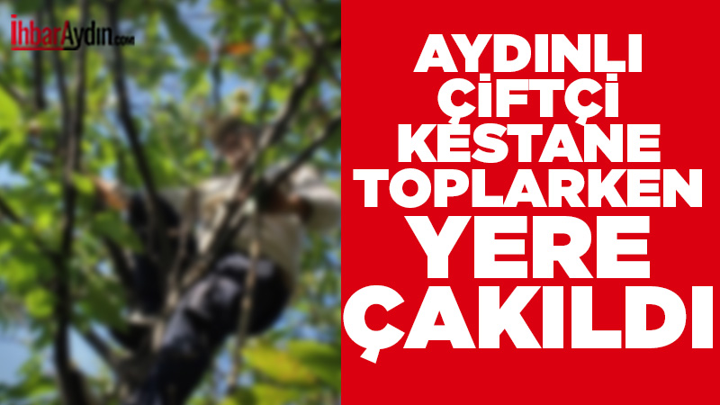 Aydın’ın Efeler ilçesinde kestane hasadı sırasında ağaçtan düşen 45 yaşındaki