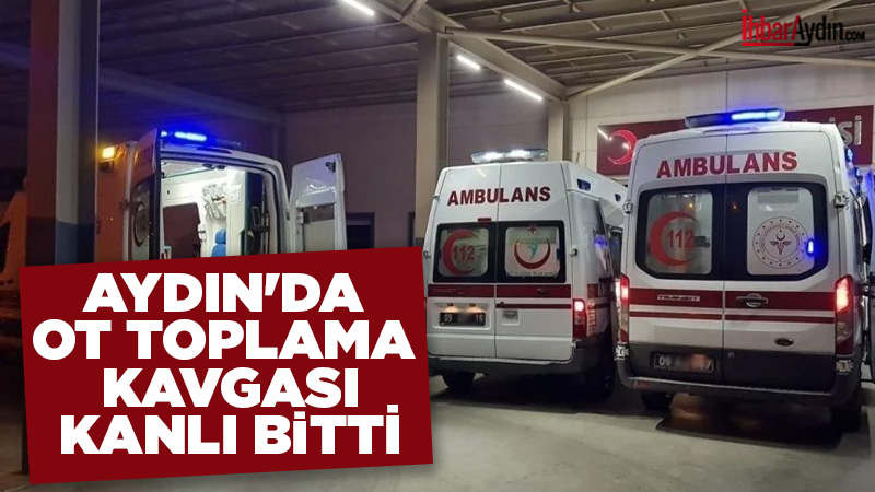 Aydın’ın Efeler ilçesinde, tarladaki otların toplanması nedeniyle komşular arasında çıkan