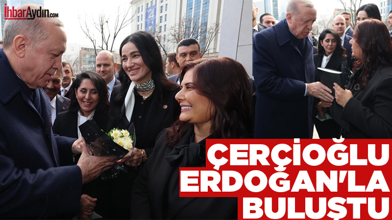Aydın Büyükşehir Belediye Başkanı Özlem Çerçioğlu, Cumhurbaşkanı ve AK Parti