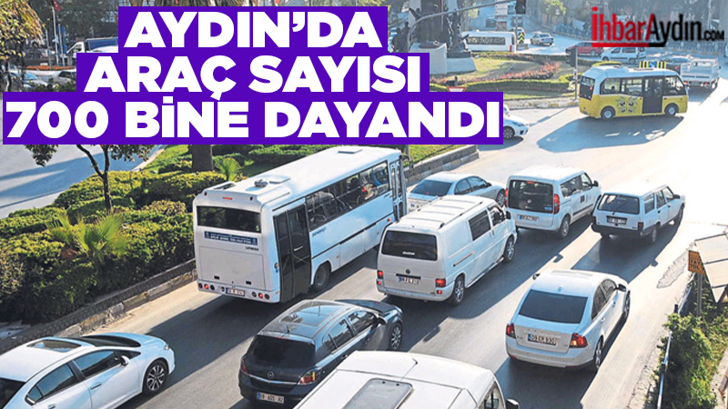 Türkiye İstatistik Kurumu (TÜİK) verilerine göre, Aydın’da 2025 yılı Kasım