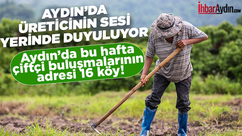 Aydın İl Tarım ve Orman Müdürlüğü tarafından her hafta rutin